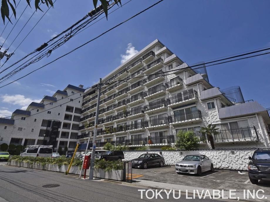 Property - Photo 1