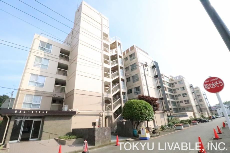Property - Photo 1