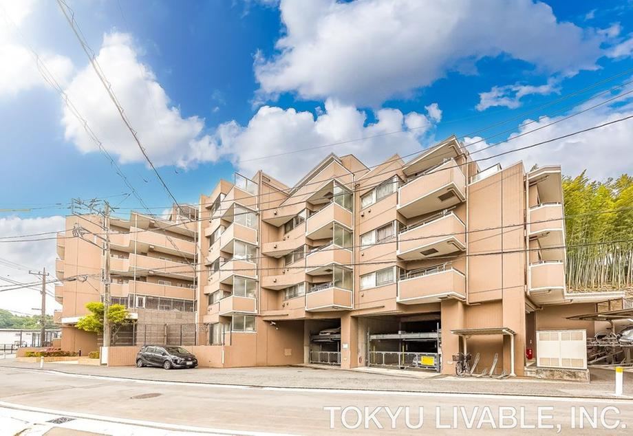 Property - Photo 1