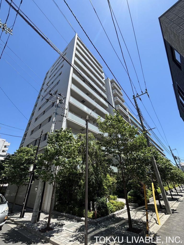 3LDK apartment in Koto Ward, Tokyo - Photo 1