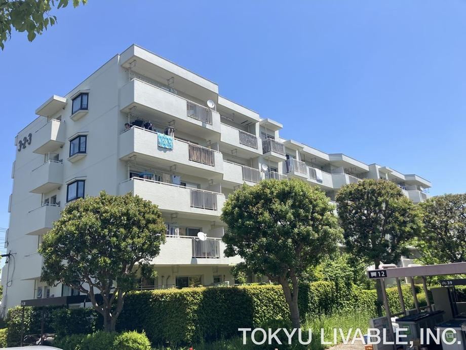 Property - Photo 1
