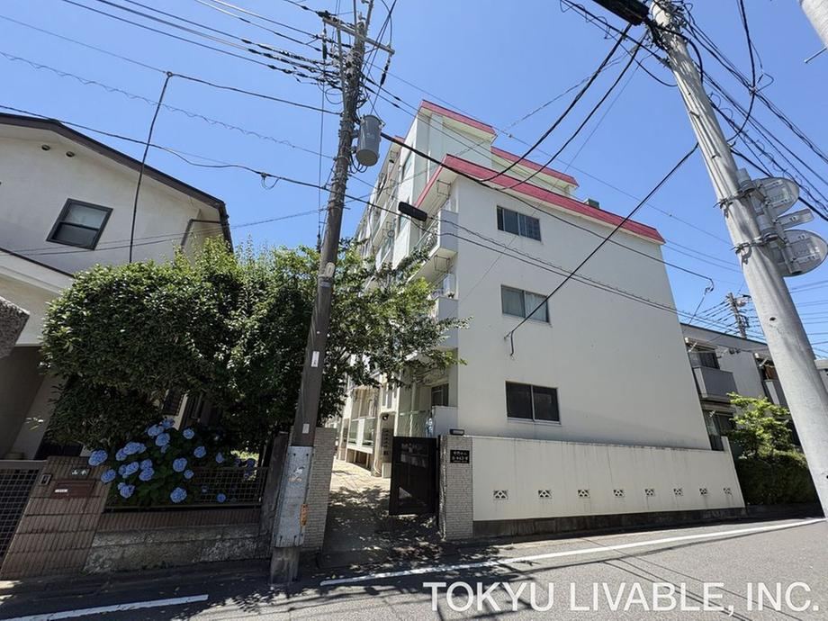 Property - Photo 1