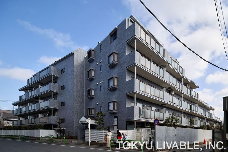 Property - Photo 1