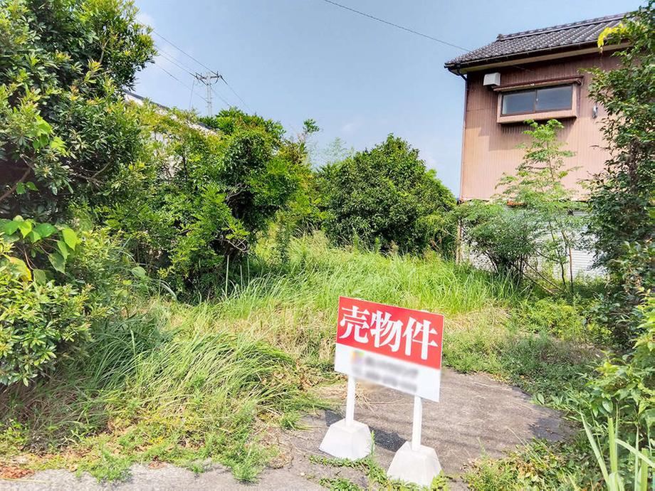 Property - Photo 1