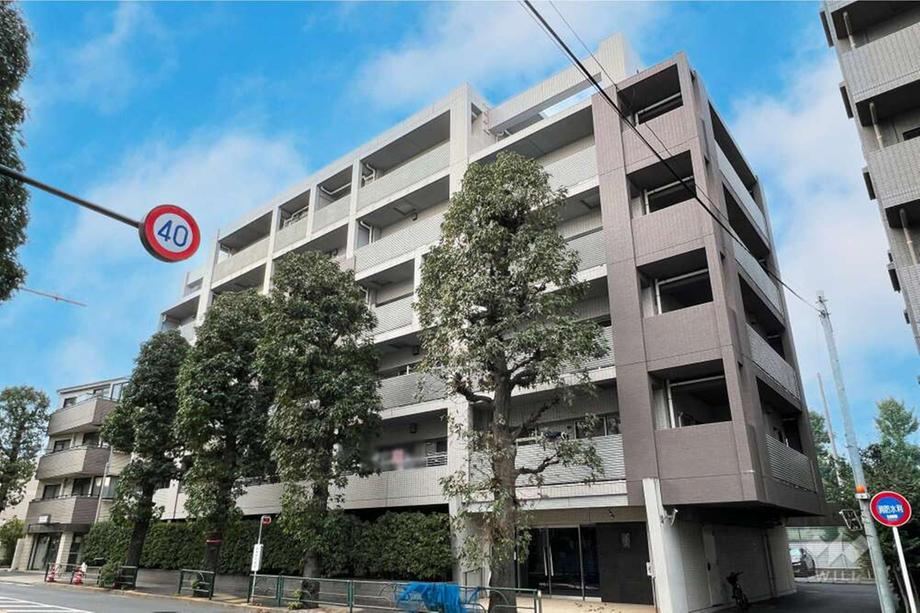 Property - Photo 1