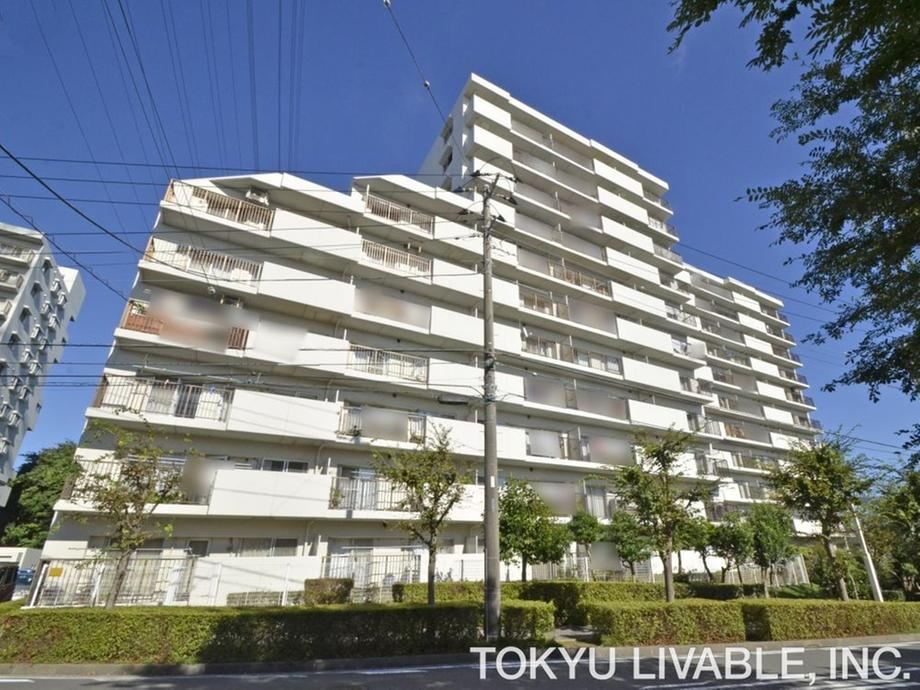 Property - Photo 1