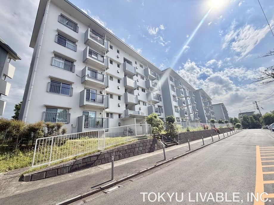 Property - Photo 1