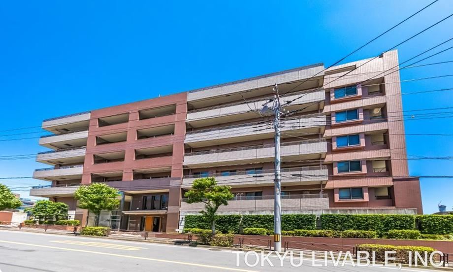 Property - Photo 1