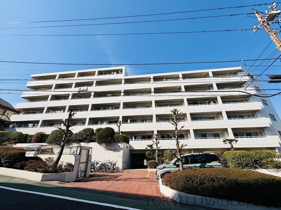 Property - Photo 1