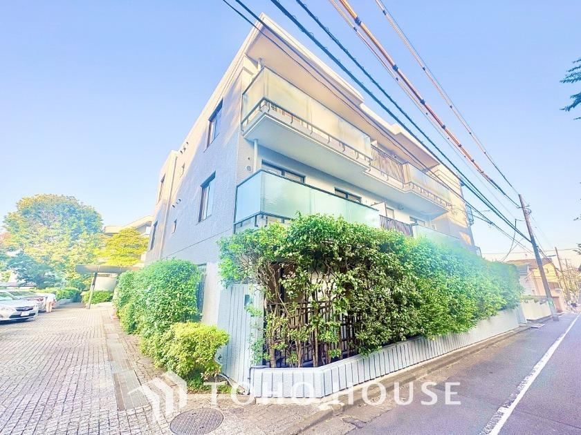 Property - Photo 1