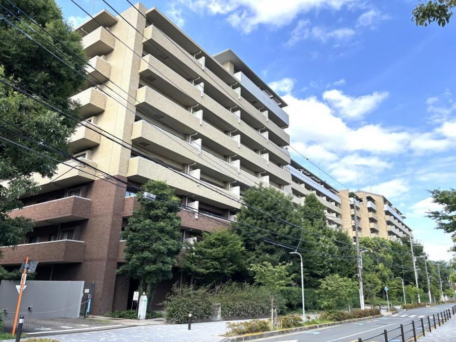 Property - Photo 1