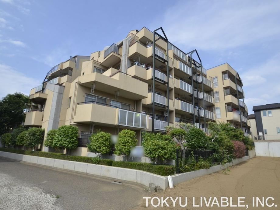 Property - Photo 1