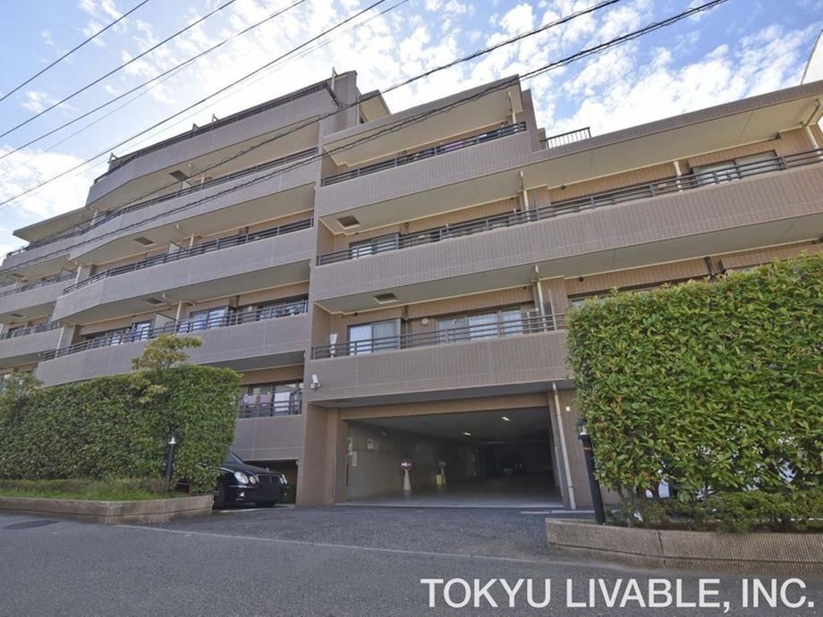 Property - Photo 1