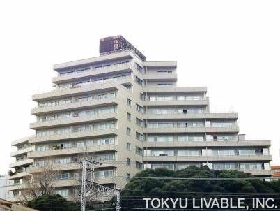 2LDK+S apartment in Shibuya Ward, Tokyo - Photo 1