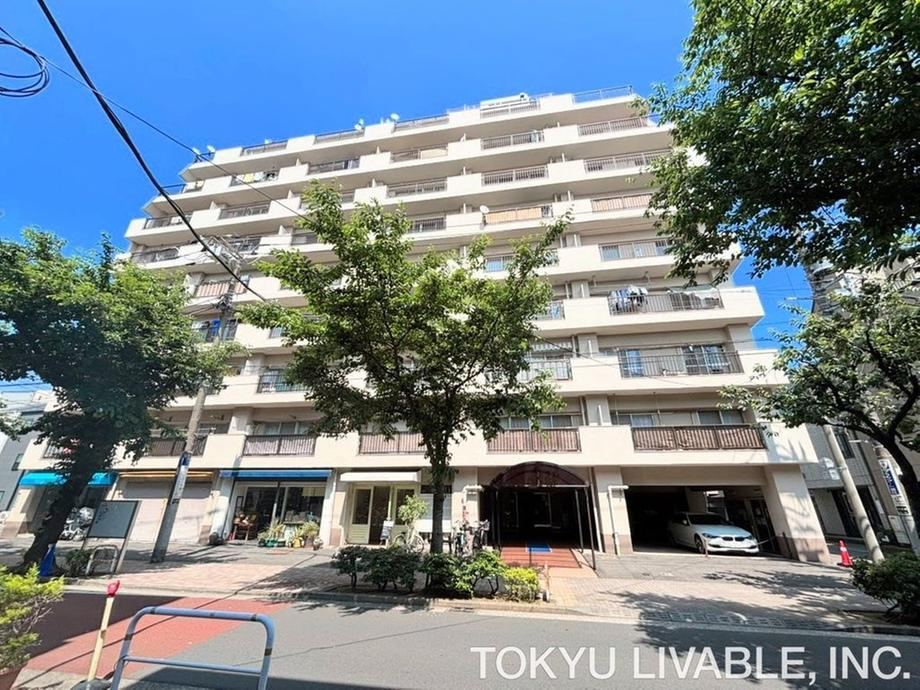 Property - Photo 1