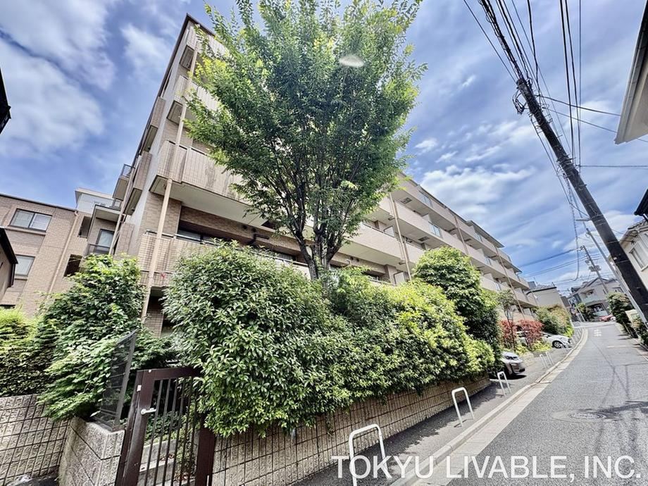 Property - Photo 1