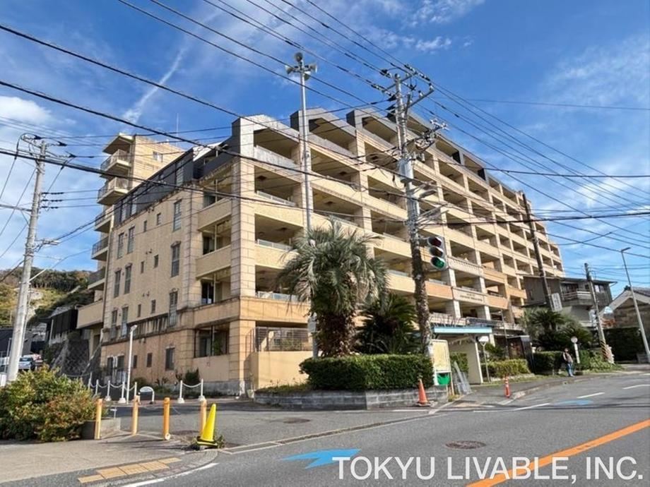 Property - Photo 1