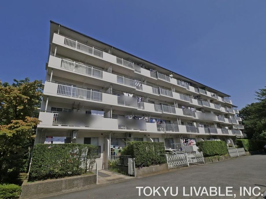 3LDK apartment in Tsuzuki Ward, Yokohama, Kanagawa - Photo 1