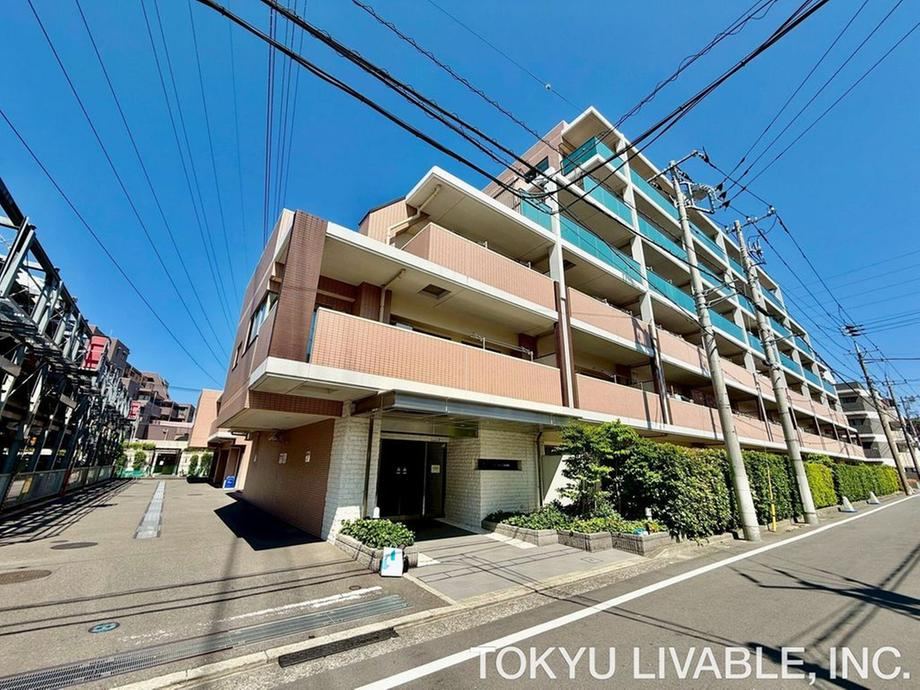 Property - Photo 1