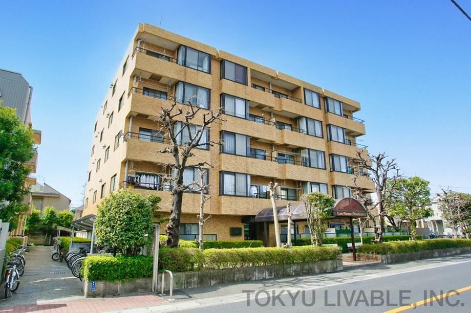 3LDK apartment in Musashino, Tokyo - Photo 1