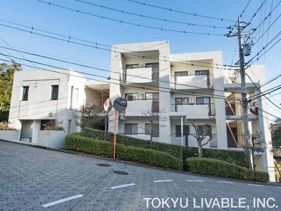 Property - Photo 1