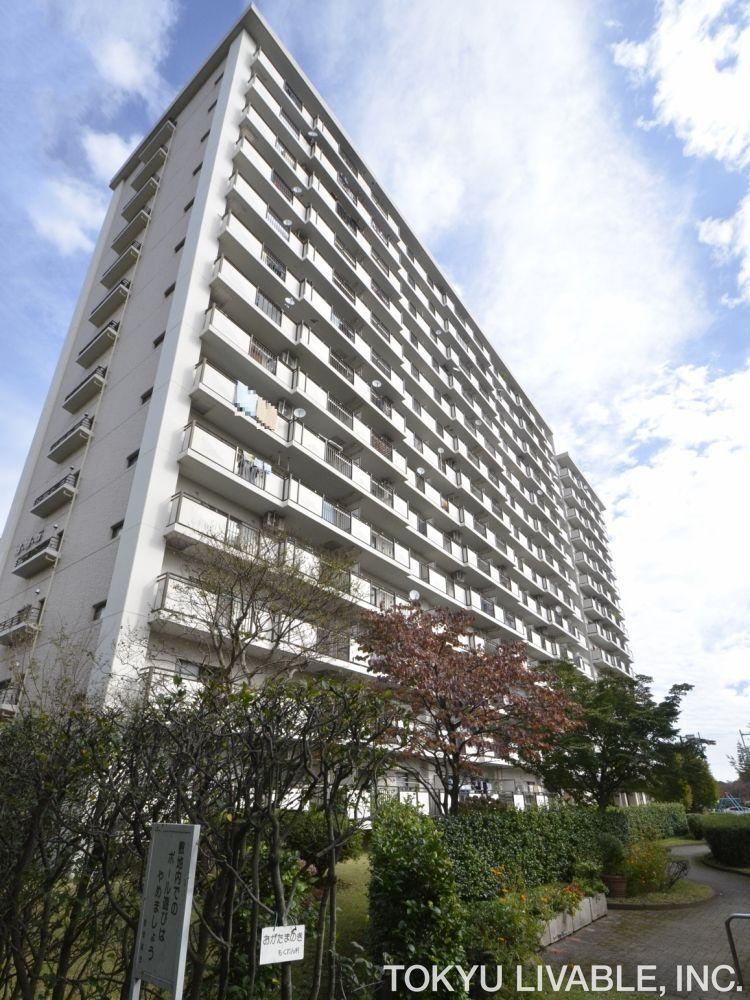 Property - Photo 1