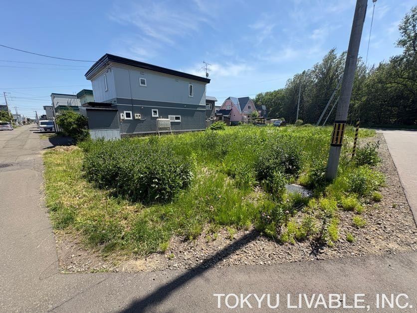 Property - Photo 1