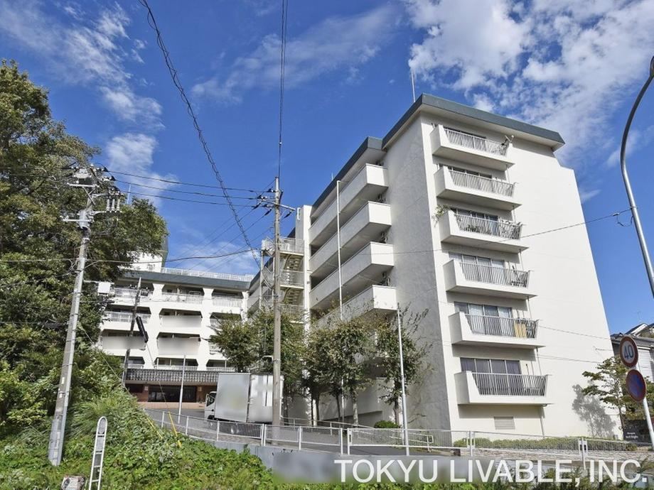 Property - Photo 1