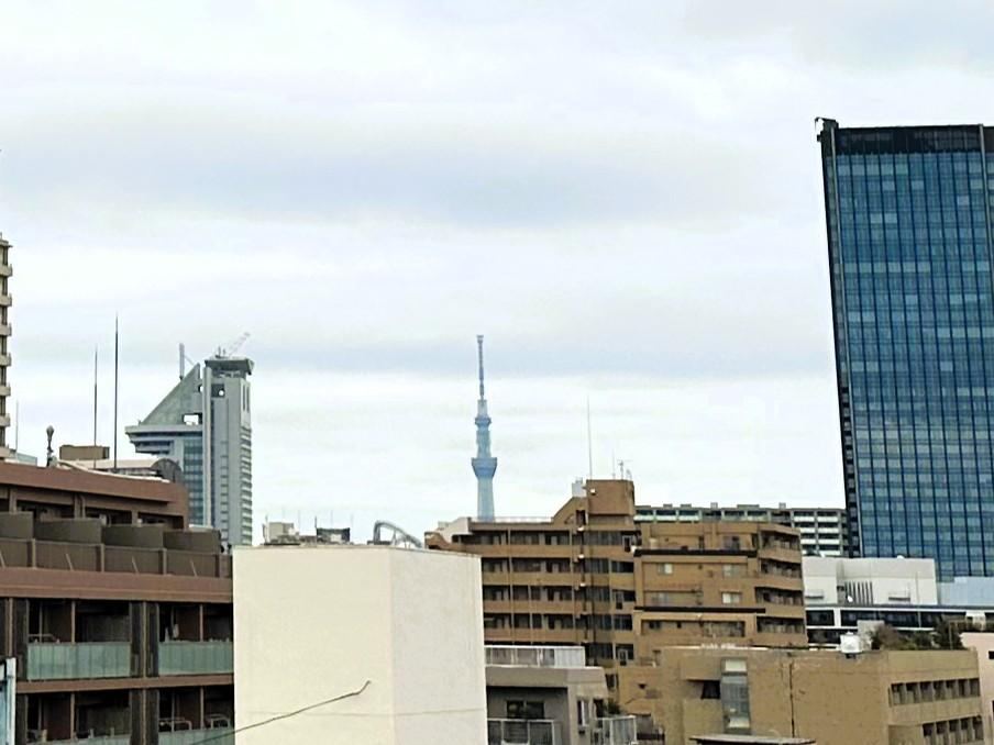 1LDK apartment in Shinjuku Ward, Tokyo - Photo 1