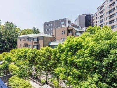 2LDK apartment in Minato Ward, Tokyo - Photo 1