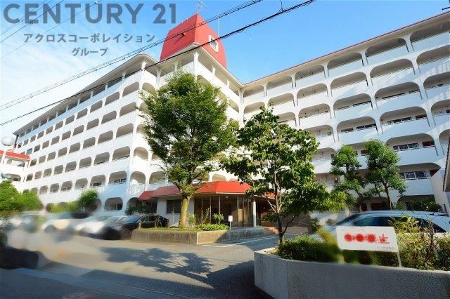 3LDK apartment in Nishinomiya, Hyogo - Photo 1