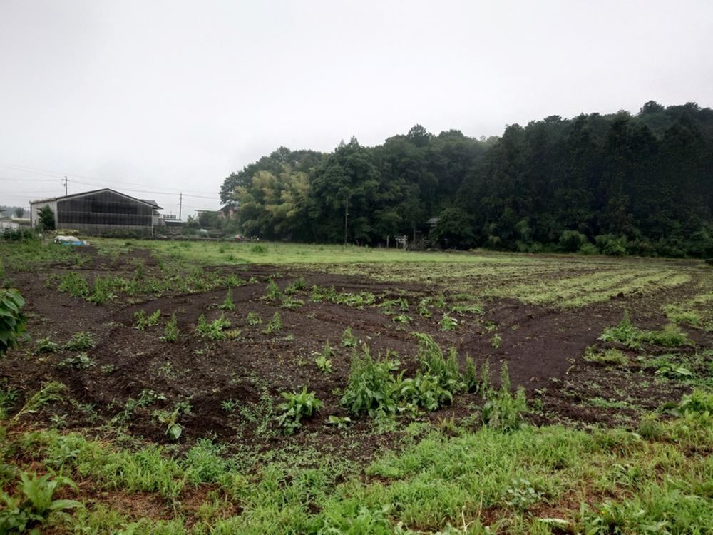 265 m² land in Tomika, Kamo District, Gifu - Photo 1