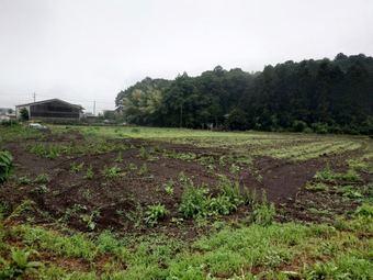 plot of land in Kamo District
