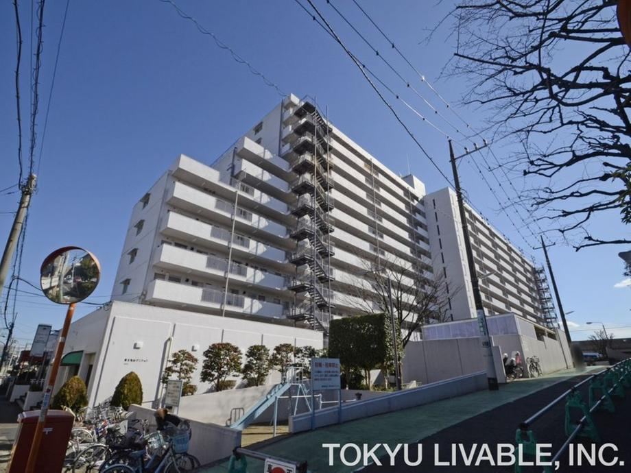 Property - Photo 1