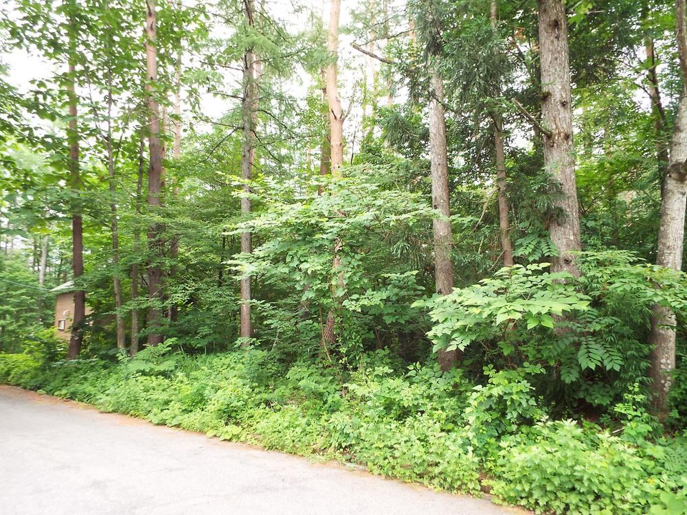 539 m² land in Hakuba, Kitaazumi District, Nagano - Photo 1