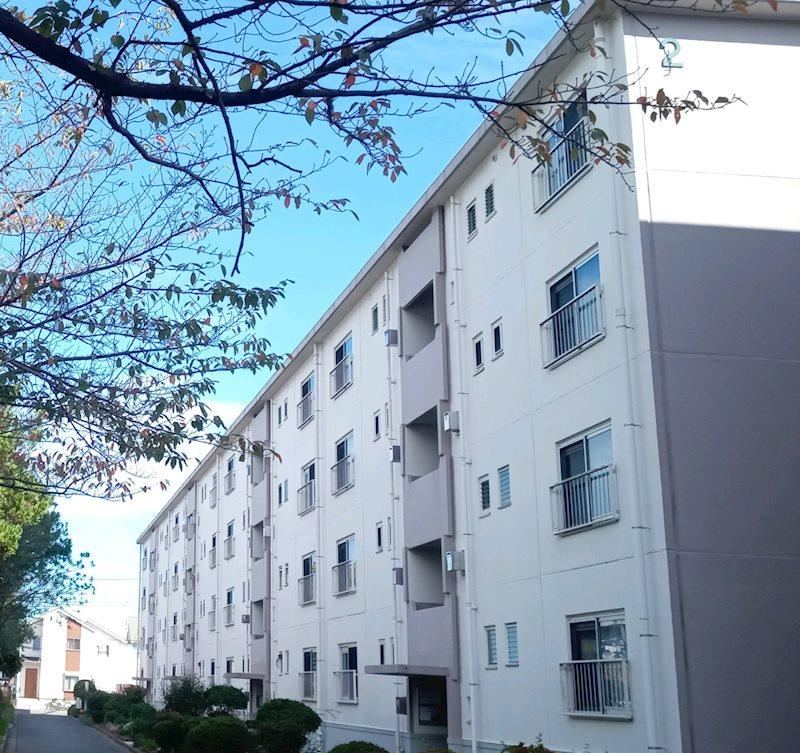 Property - Photo 1