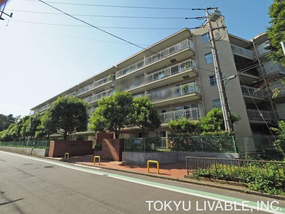 Property - Photo 1