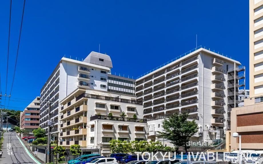 Property - Photo 1
