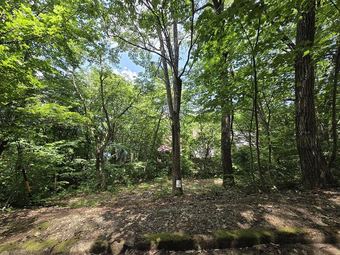 plot of land in Gujo