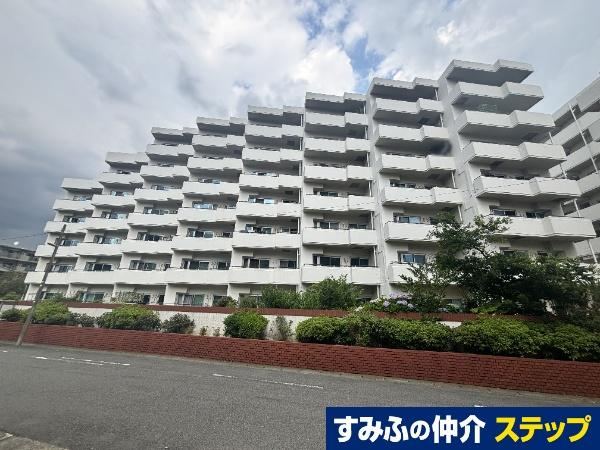 Property - Photo 1