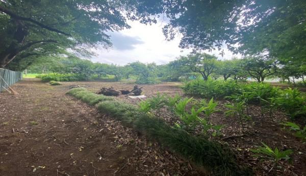 1354 m² land in Ageo, Saitama - Photo 1