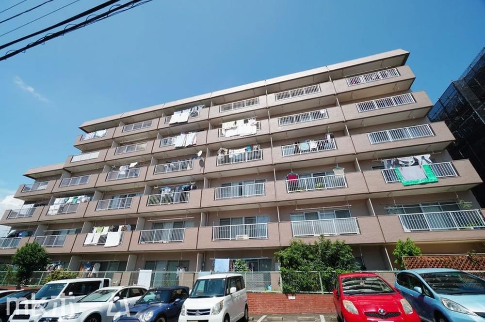 1LDK apartment in Matsudo, Chiba - Photo 1