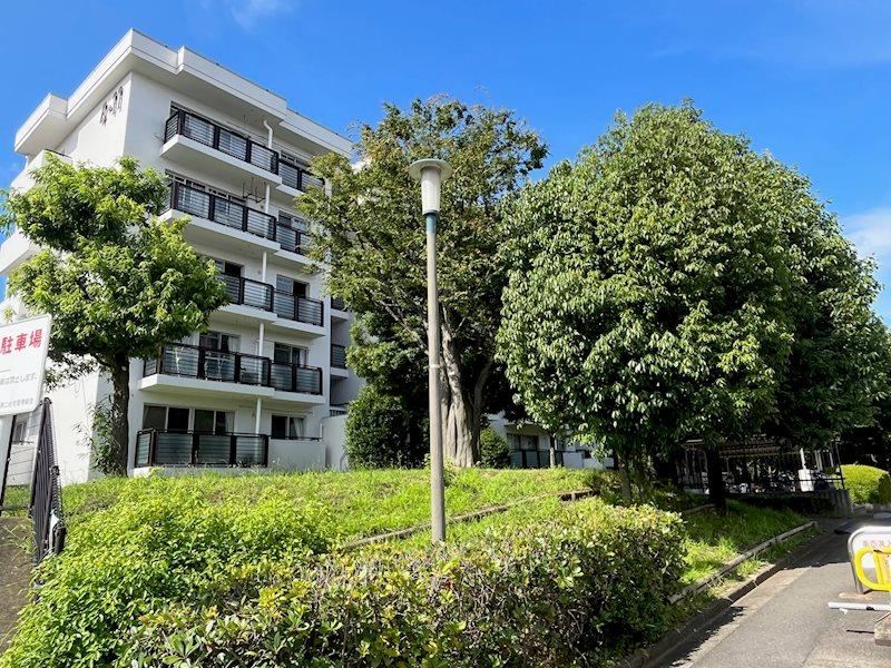 Property - Photo 1