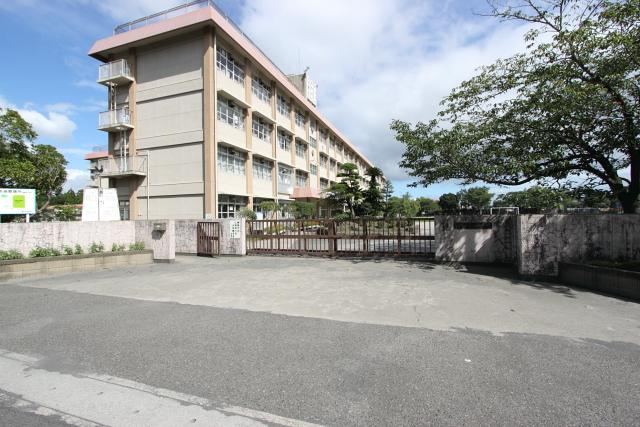 Property - Photo 1
