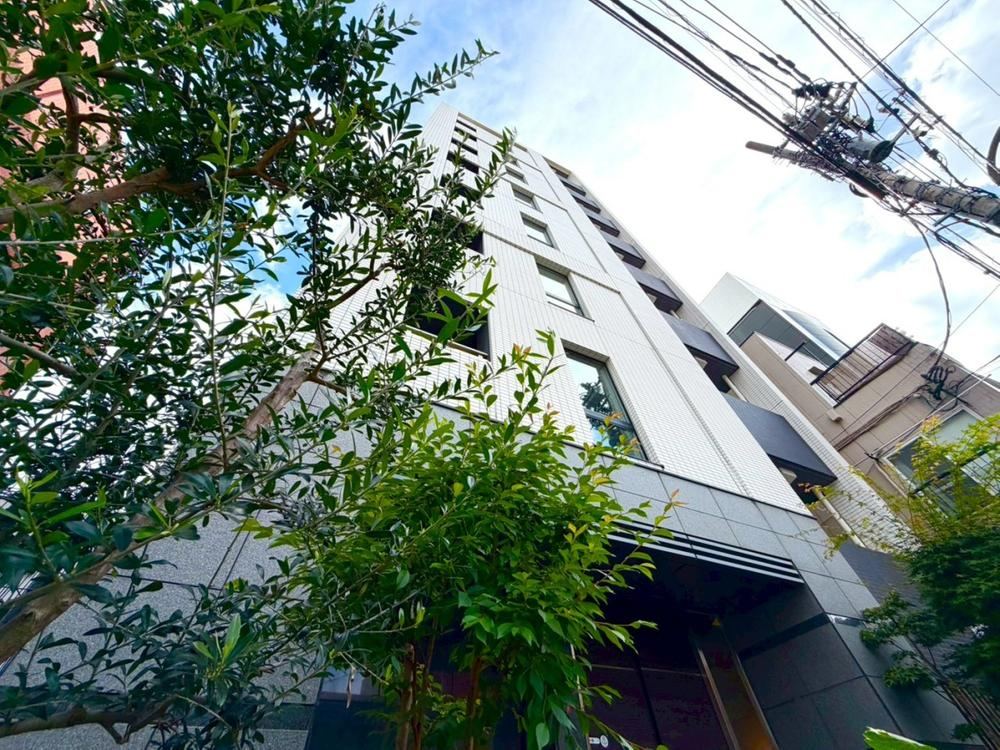 Property - Photo 1