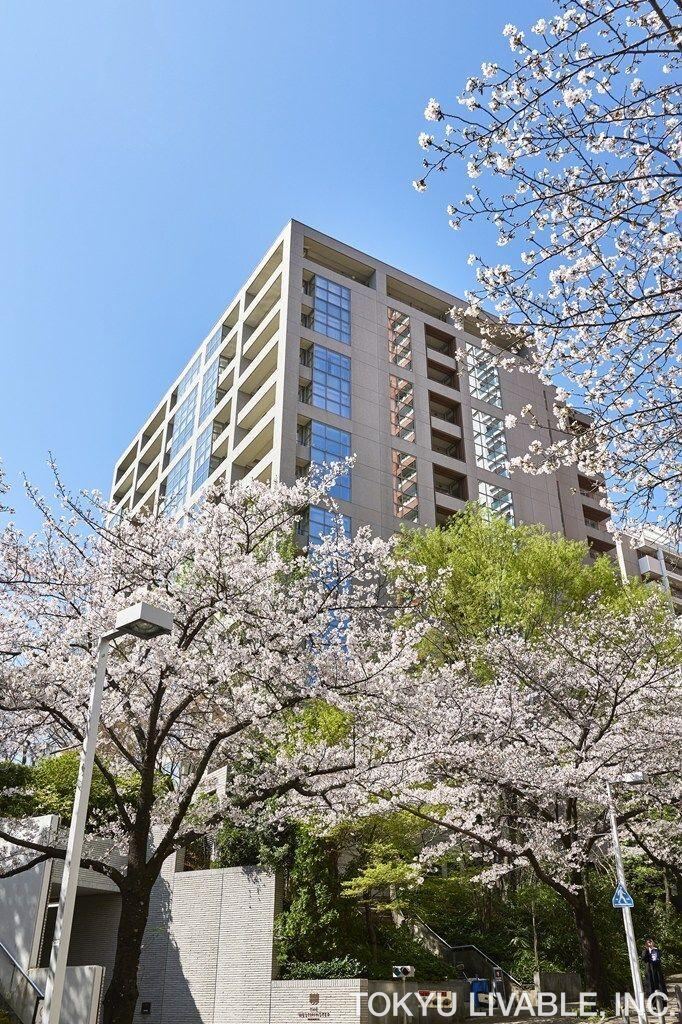 2LDK apartment in Minato Ward, Tokyo - Photo 1