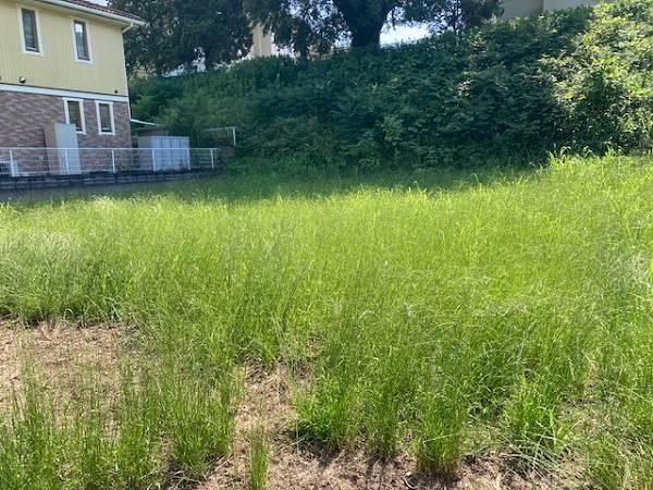 756 m² land in Ushiku, Ibaraki - Photo 1