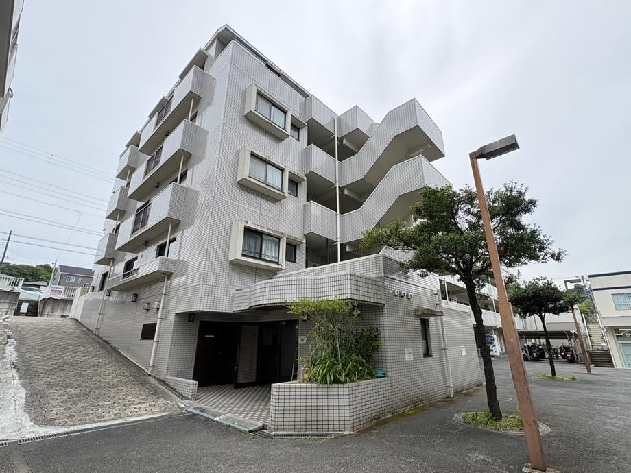 Property - Photo 1