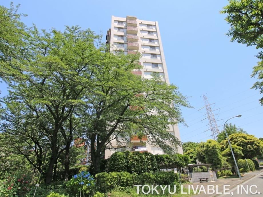 3LDK apartment in Asahi Ward, Yokohama, Kanagawa - Photo 1