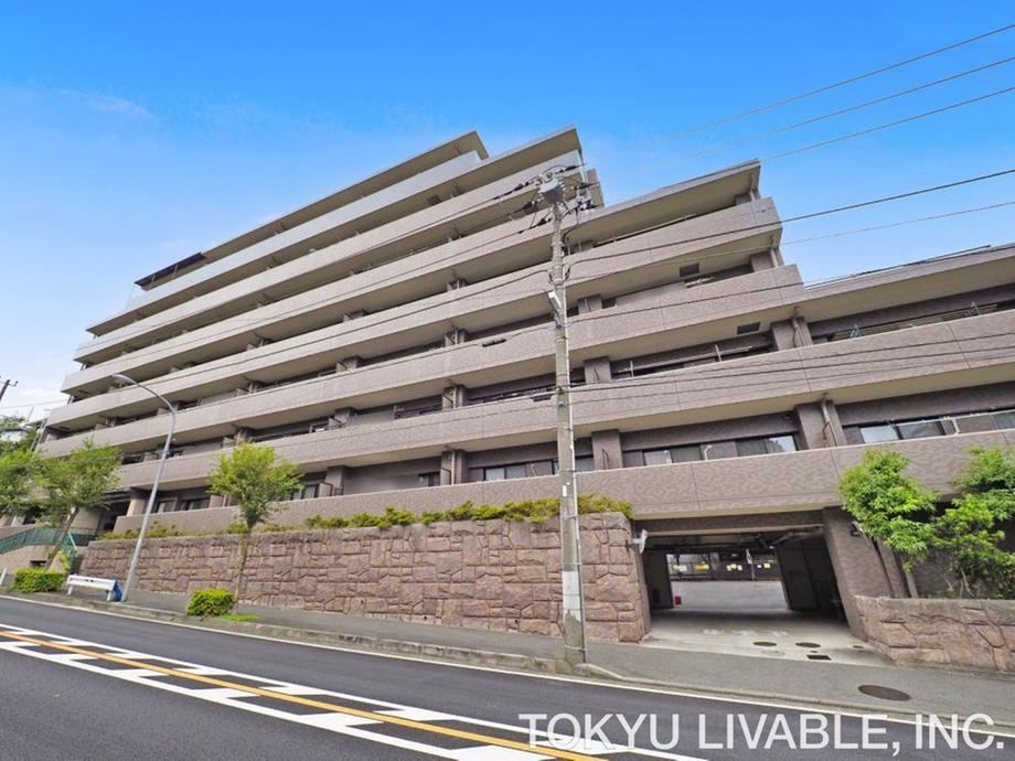 Property - Photo 1